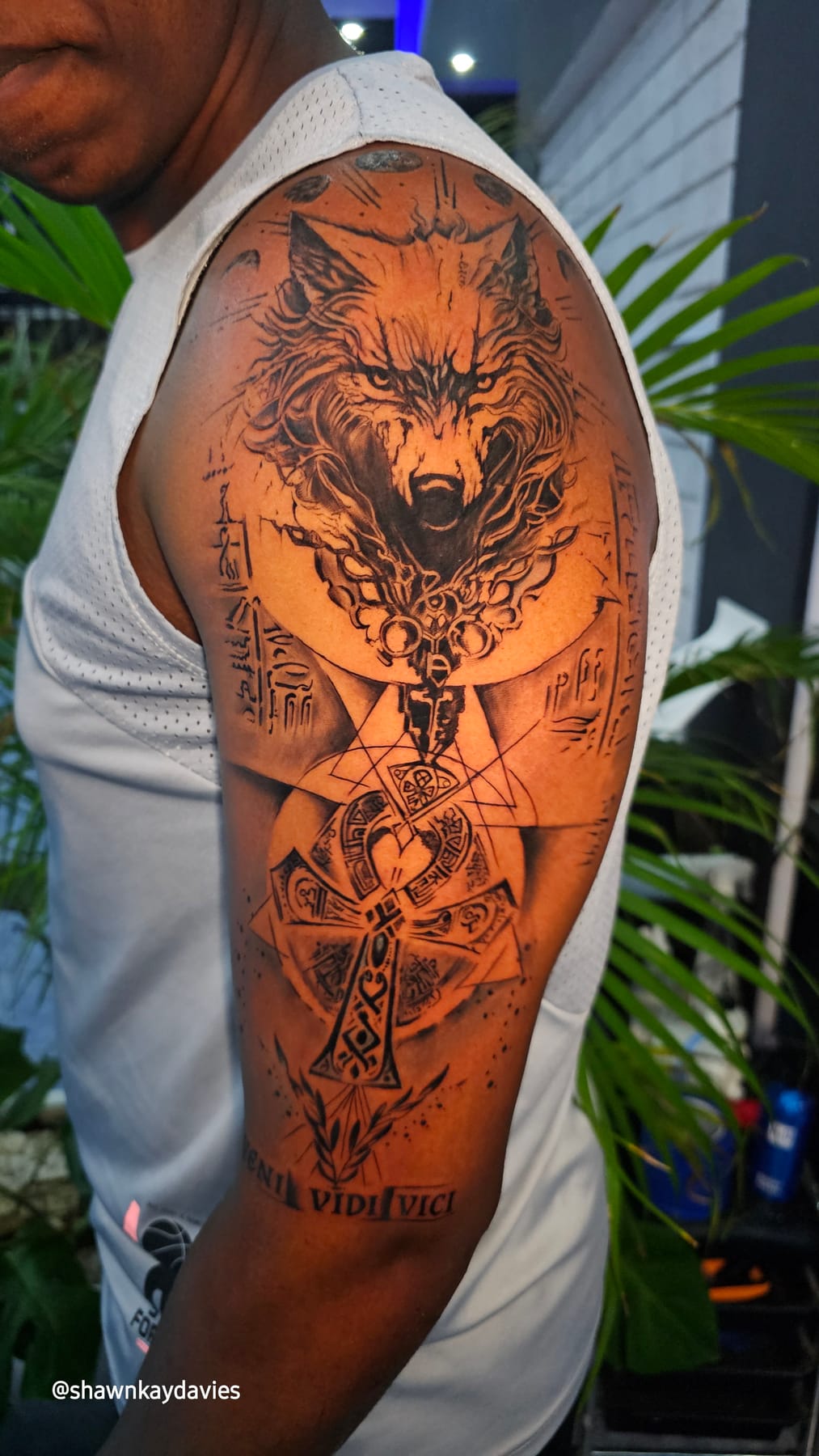 Realism & Illustrative